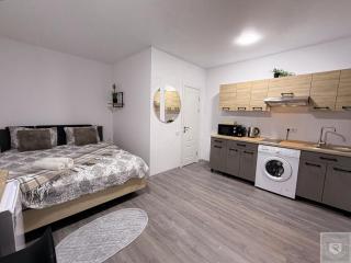 RentHouse Apartments-Old Town Studio #1 - Chişinău - 7