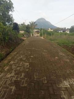 Farm House , Mountain View, Coffee Vegetable Farm BATU CITY - 2