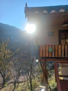 The Foliage - Mukteswar - 2