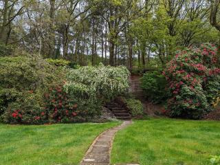 5BD House in the Forest - Hindhead - 2