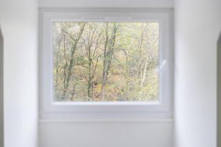 5BD House in the Forest - Hindhead - 1