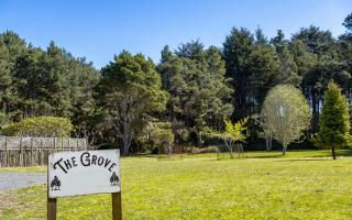 The Grove - Fort Bragg - 6
