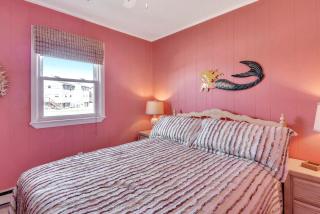 SN8646- Happy Parrot - Nags Head - 1
