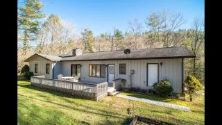 Sunshine Daydream - Pisgah Forest - 5