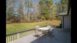 Sunshine Daydream - Pisgah Forest - 4