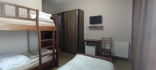 Villa Bakuriani hotel - Bakuriani - 9
