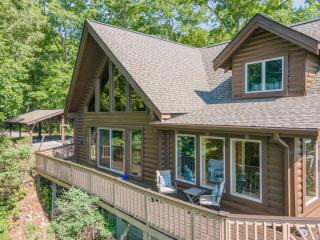 Private Mountaintop Cabin - Rosman - 7