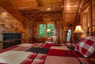 Private Mountaintop Cabin - Rosman - 5