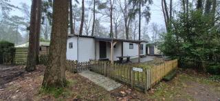 Chalet Hoenderloo Beuk - Hoenderloo - 9