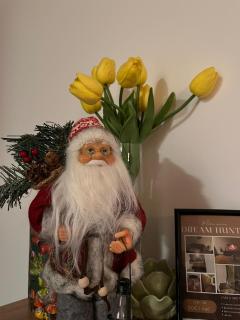 Dream Hunter Apartment - Novi Sad - 3