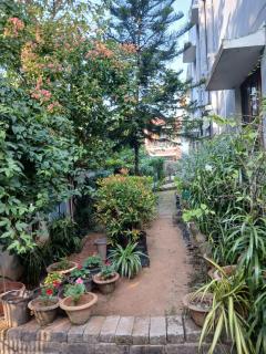 The Basic - Bhubaneshwar - 6