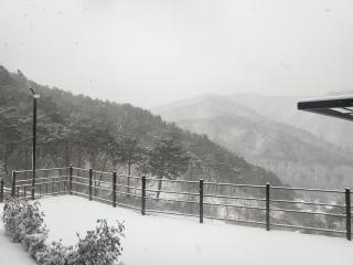 Daon Forest Pension - Inje - 7