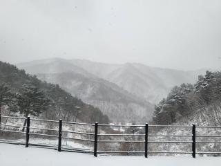 Daon Forest Pension - Inje - 1