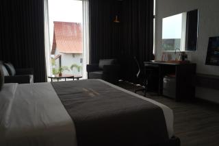 The Fern Heaven on The Hills Resort, Hatgad-Saputara - - 4