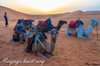 Merzouga heart camp - Merzouga - 1