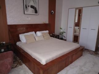 Furnished Downtown 2 Bedrooms - Brazavile - 8