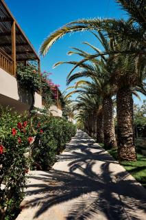 Stella Village Seaside Hotel - Limenas Chersonisou - 0