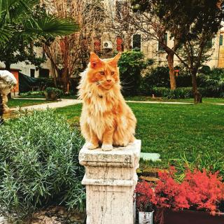 Cinqueteste Luxury Home - Venezia - 9