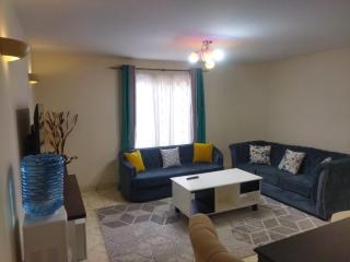 Shikaz Homes Two bedroom - Nairobi - 3