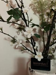 Luxe Appartementen Leonardus - 9