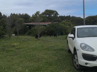 Tsitsikamma on Sea Self-catering Cottages - 2