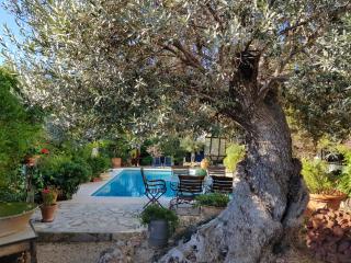 Villa Naranjo Costa Blanca - L'Alfàs del Pi - 1