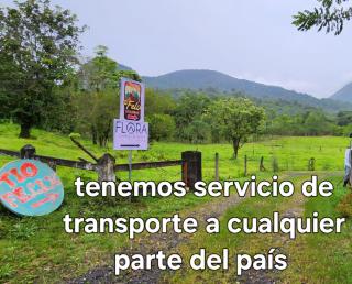 Tío Felix Eco Lodge - Fortuna - 4