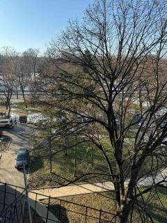 Apartman Dedinje - Hyde Park - Belgrad - 2