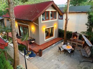 antik river house - Şile - 1