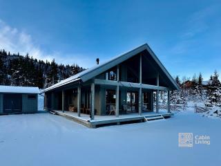 New cabin Vestlia Skeikampen ski-in out X-skiing - Aulstad - 0