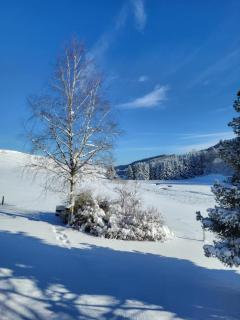 HOTEL Auberge du grand Git - 7