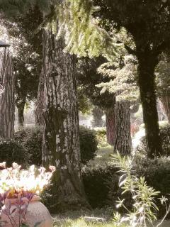 Villa Tommasini La torre - Campogialli - 5