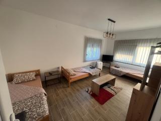 Villa Leon - Novi Bečej - 1