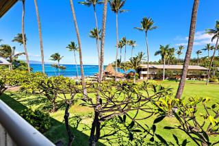 Napili Shores H263 - Kahana - 8