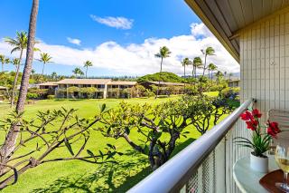 Napili Shores H263 - Kahana - 7