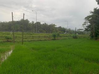 Villa Hetti - Weligama - 6