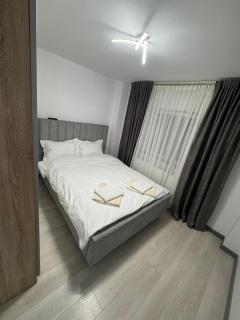 Confort Apartament - Borsa - 5