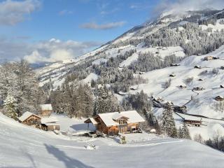 Apartment Anno Domini by Interhome - Adelboden - 8