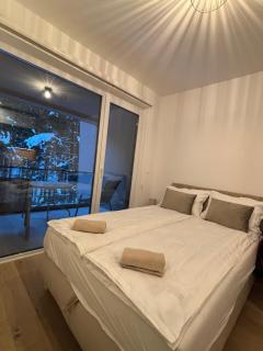 Apartman Šumski Rog Bjelašnica - Bjelašnica - 1