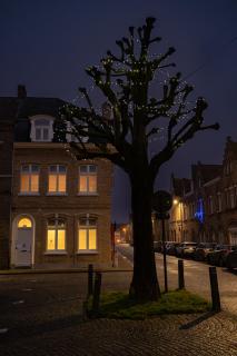 Martin's House - Ieper - 1