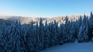 Cihlářská bouda, apartmán 307 - 4