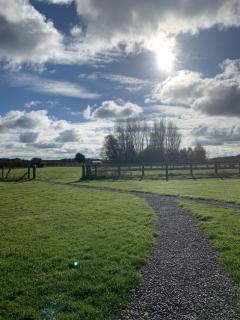 Orchard Hideaway, Bielby, York - 7