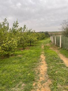 Farmhouse in Kamouni - - 6