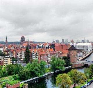 Forest in the City - Gdańsk Rooms - 8