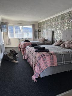 Traeth Rooms - Cardigan - 3