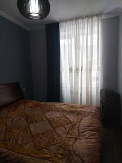 Sunny Valley apartment - Bakoerjani - 1