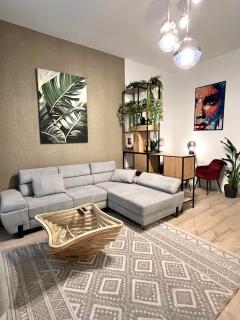 Heart of Budapest Premium Apartment, CITY CENTER - 9