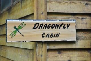 Dragonfly Cabin - Bryson City - 5