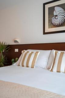 Hotel Carmen - Riccione - 3