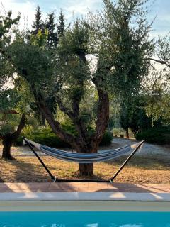 Casale Delle Querce farmhouse in Giove Umbria with pool - Giove - 7